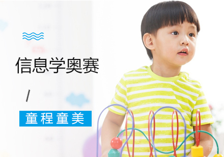 沈阳信息学奥赛课程