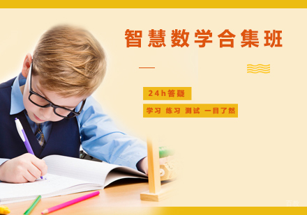 西安智慧数学合集班