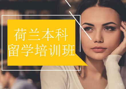 沈阳澳际留学_沈阳荷兰本科留学培训班