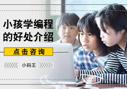 北京早教中小学-小孩学编程的好处