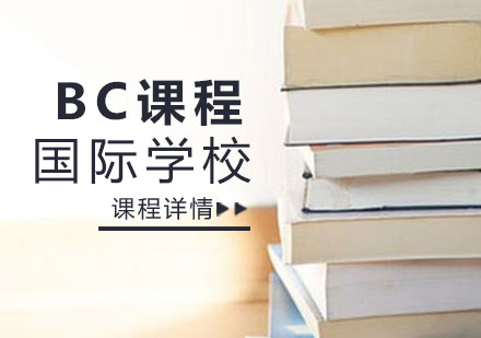 济南国际学校BC课程
