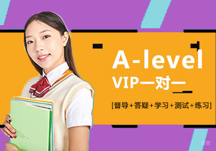 成都A-levelVIP一对一培训班