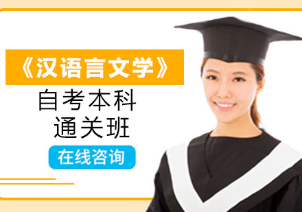 《汉语言文学》自考本科通关班