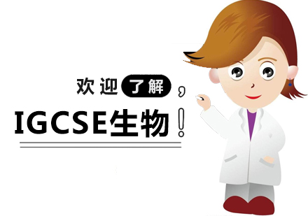 IGCSE生物辅导班