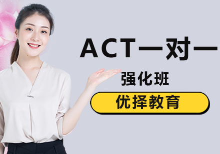 北京ACT一对一强化班