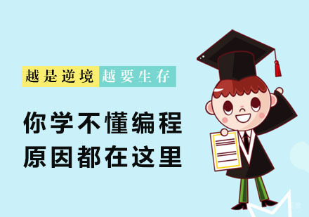 你学不懂编程的原因都在这里