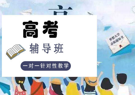 高考一对一辅导课程