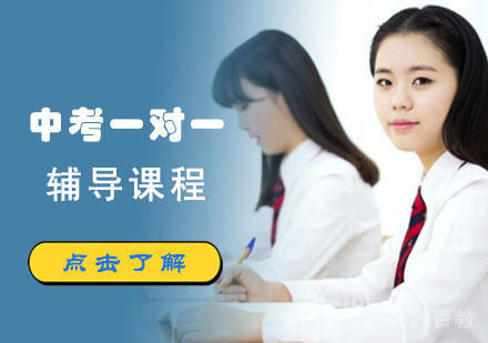 中考一对一辅导课程