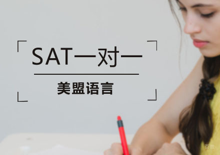 上海SAT一对一培训