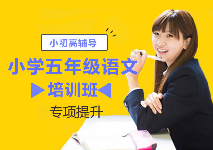 小学五年级语文专项提升班