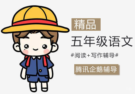五年级语文辅导班