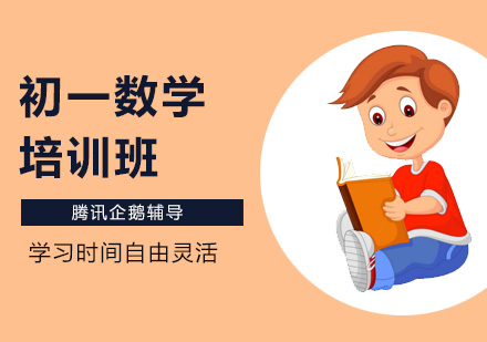 初一数学系统班