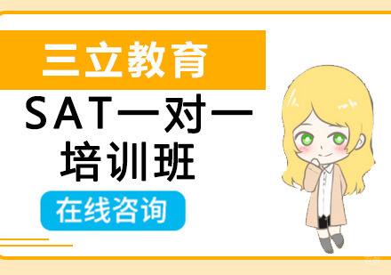 沈阳SAT一对一定向培训班