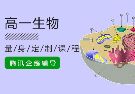 高一生物培训课程