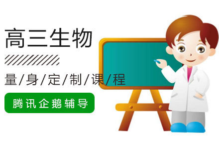 高三生物辅导课程