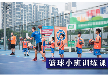 北京体育运动篮球小班训练课