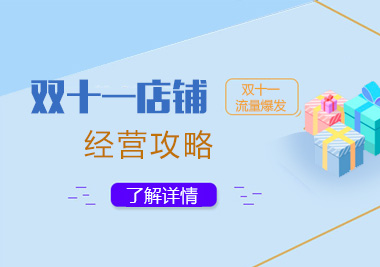 上海职业技能/IT-双十一电商营销攻略