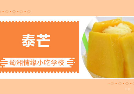 西安泰芒培训课程