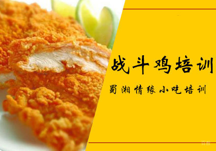 西安战斗鸡培训班