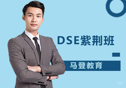 深圳DSE紫荆班