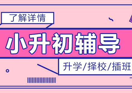 小升初升学择校插班服务