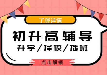 初升高升学择校插班一站式教育规划