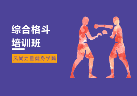 综合格斗培训