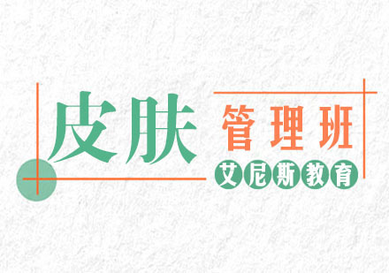 南京艾尼斯教育_南京韩式皮肤管理班