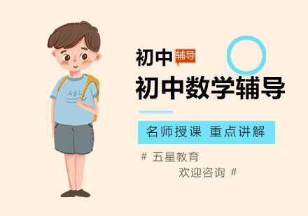 初中数学培优课程