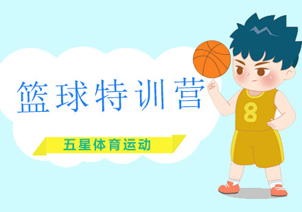 深圳体育篮球特训营课程