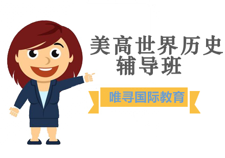 沈阳美高世界历史辅导班