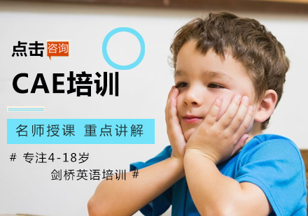 CAE培训