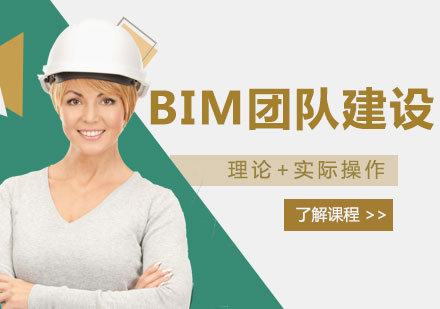 上海建造工程企业BIM团队建设