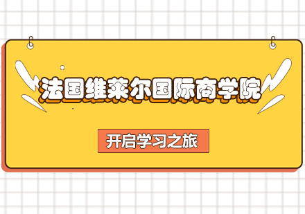 法国维莱尔国际商学院