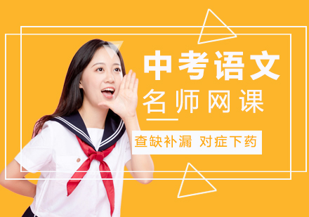 中考语文网课