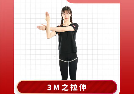 私教康复训练3M之拉伸培训课程