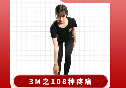 私教康复训练3M之108种疼痛培训课程