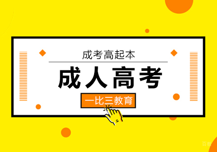 北京成人高考高起本辅导班