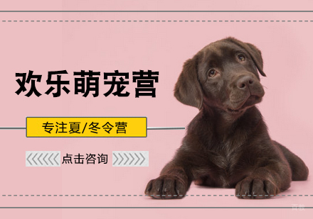北京绿骑士_北京欢乐萌宠营