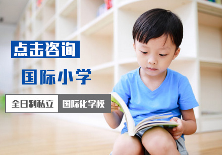 国际小学培训