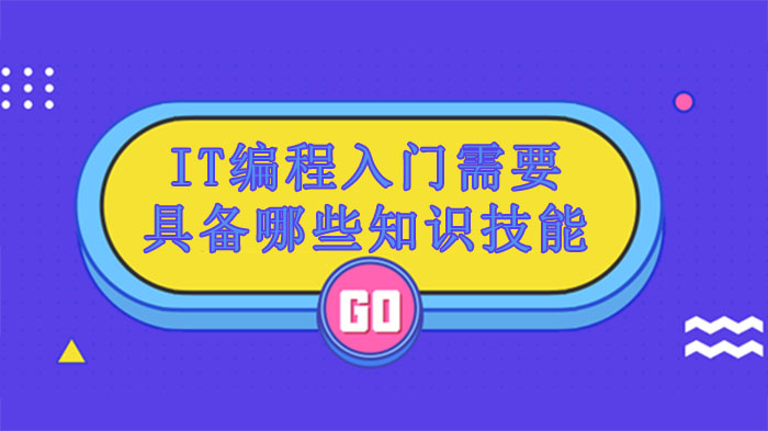 IT编程新手必看：入门阶段需掌握的9大核心技能详解