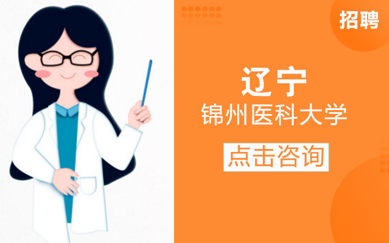 锦州医科大学高层次人才招聘全流程详解