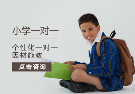 北京小学一对一培训