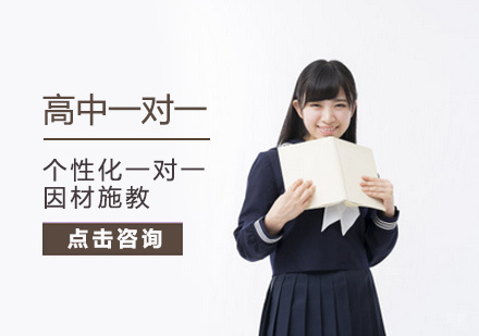 北京高中一对一培训