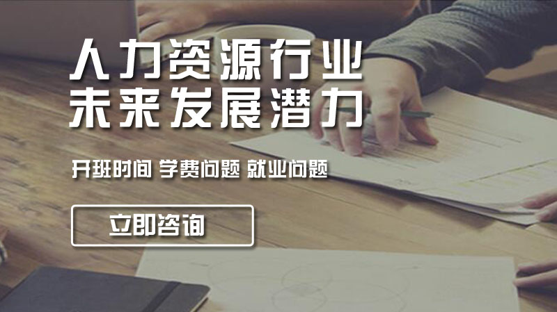 人力资源服务行业发展潜力深度解码：市场格局、核心机遇与未来走向