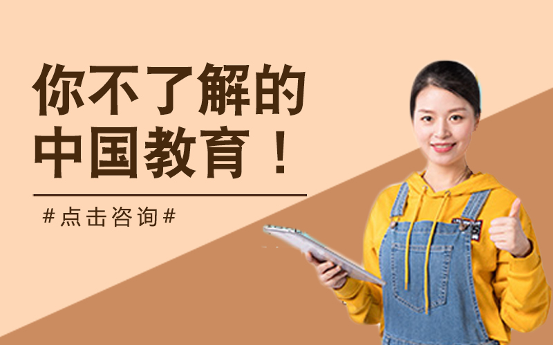 解码中国教育：被低估的精英教育普惠性与深层逻辑