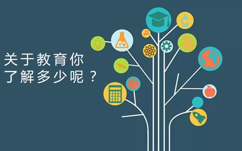 中国学历教育全景透视：从高考到留学的多元成长路径