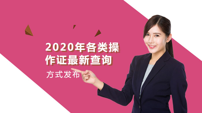 操作证全类型查询指南：特种作业/特种设备/建设类证件及国标行业地标标准查询详解