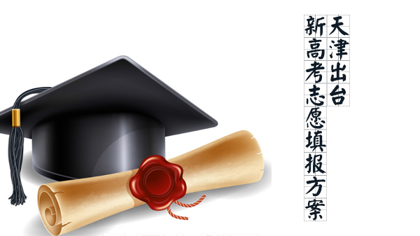 天津新高考志愿填报政策核心要点深度解析
