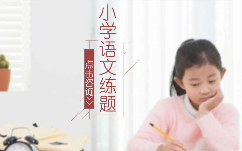 小学一年级语文数笔画填空必考题解析与练习指南